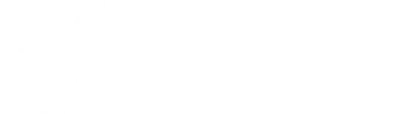 vyvoice logo white
